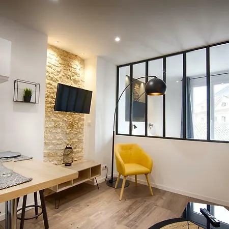 Mon Loft Niortais - Le Petit Boinot Apartment Niort