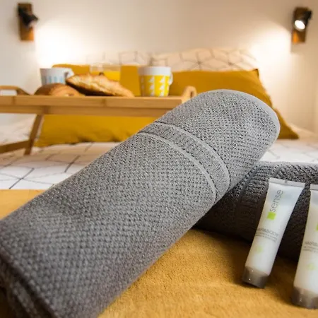 Mon Loft Niortais - Le Petit Boinot Apartment Niort